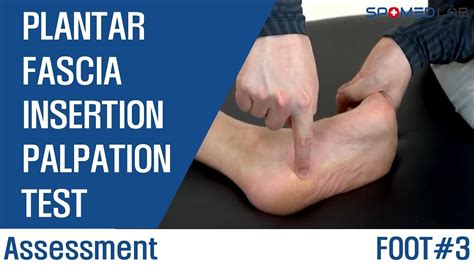 plantar fascia impact testing|plantar fascia insertion and origin.